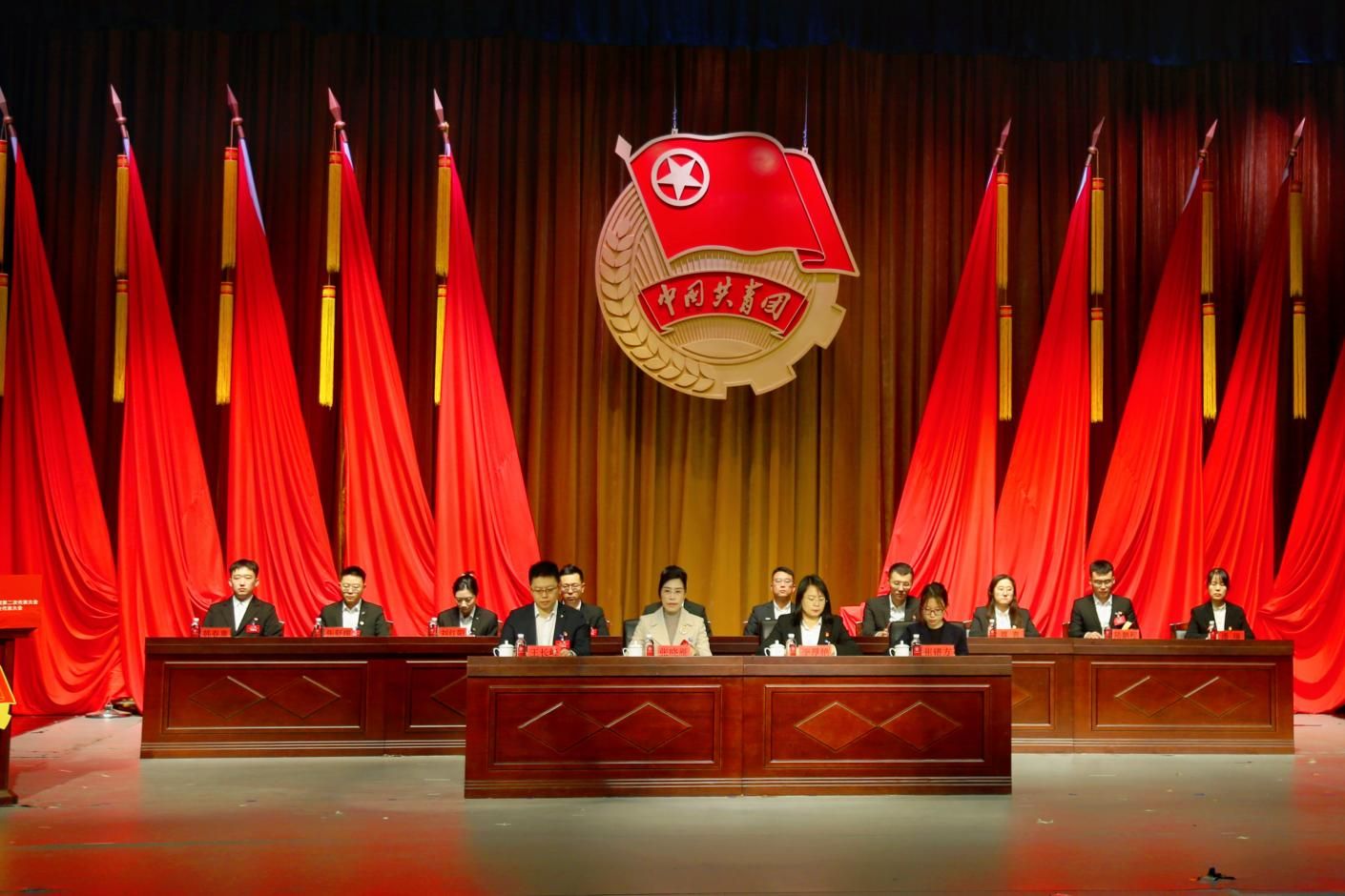 团代会 (2)